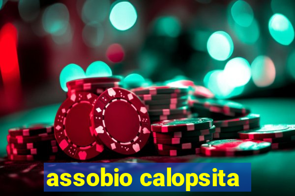 assobio calopsita